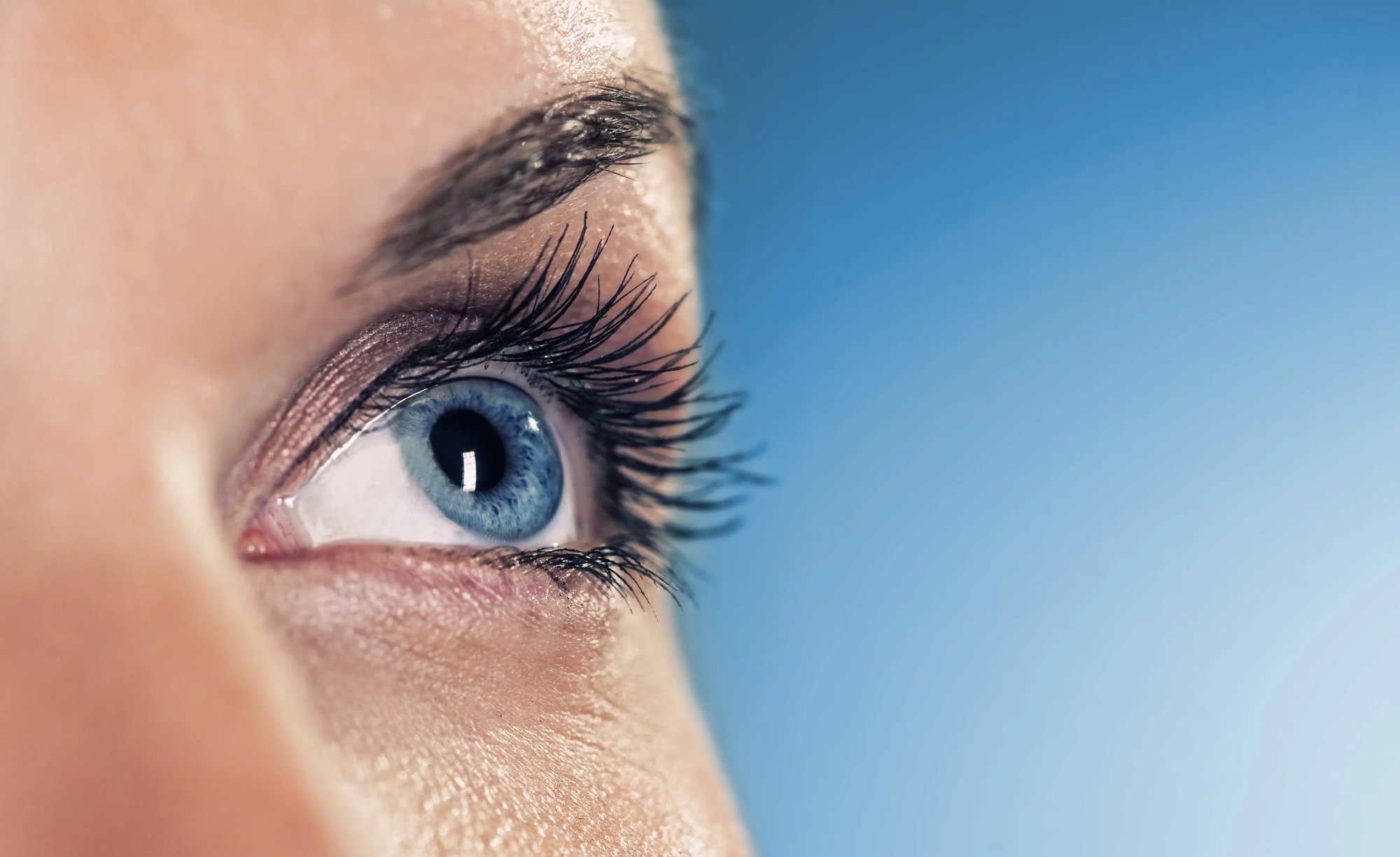 eyes